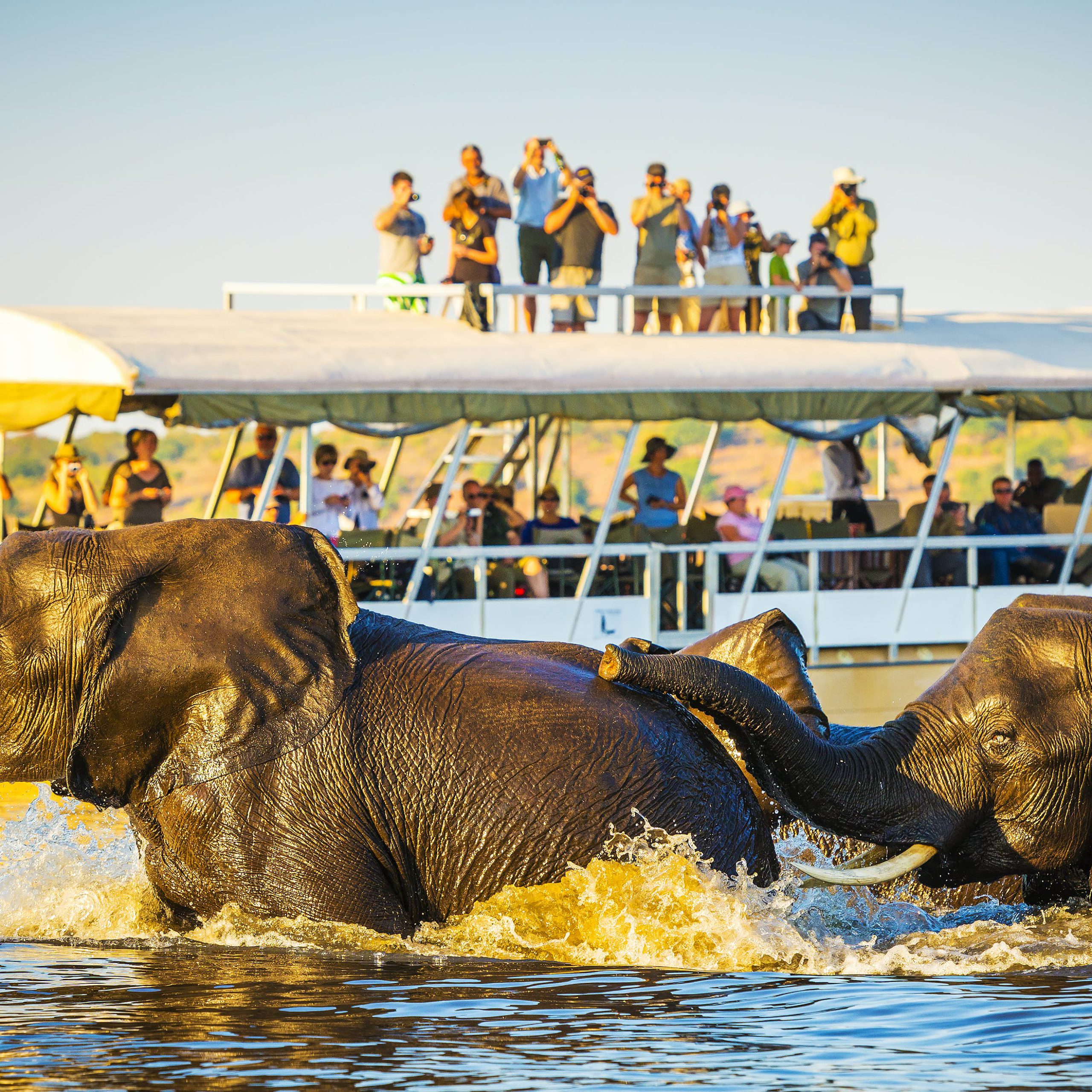 Wildlife Tourism in Botswana